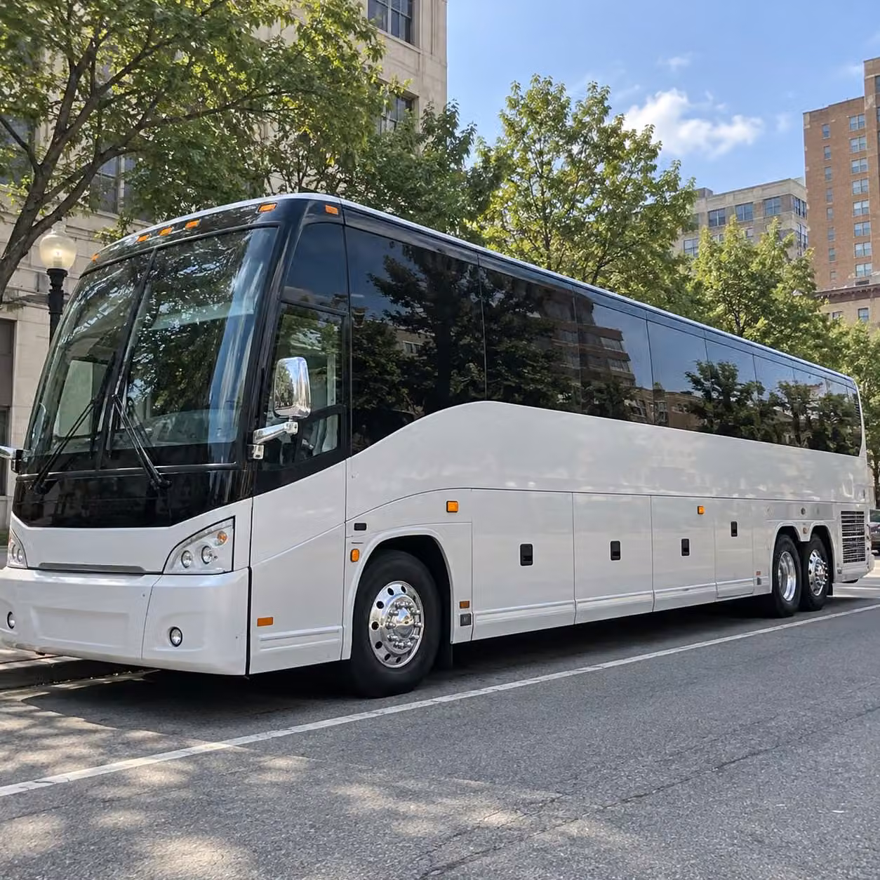 why pueblo teachers and group coordinators use busrentalpueblo com for every field trip